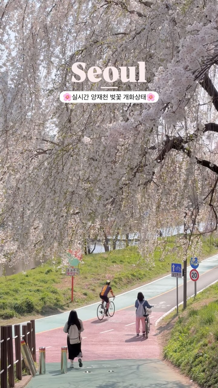 Yangjae Area Parks and Stream Trail