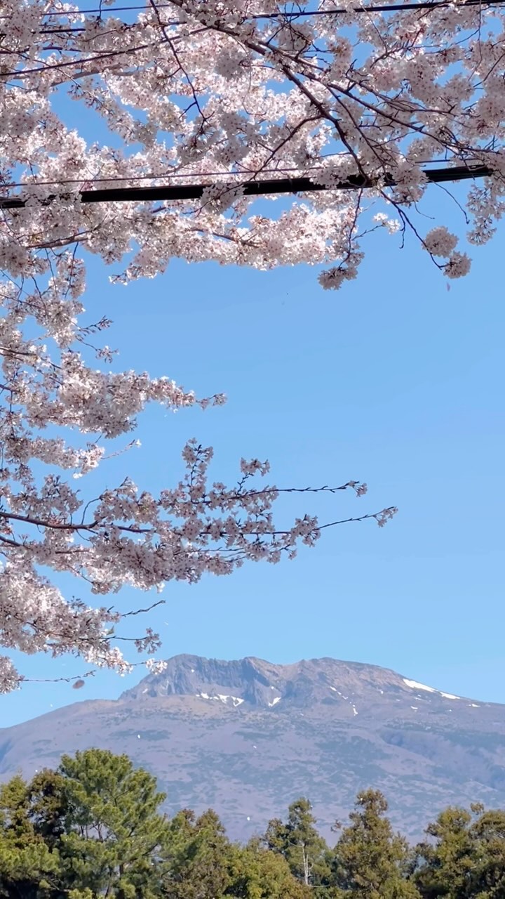 https://d2zmqyh8caa94h.cloudfront.net/creator_social_media_contents/instagram/reels/DINEU1OSN1m/DINEU1OSN1m.mp4