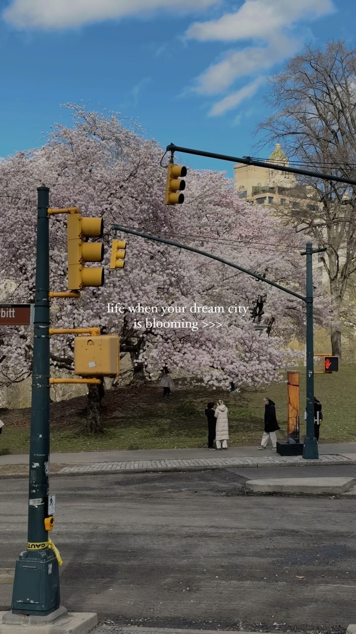 https://d2zmqyh8caa94h.cloudfront.net/creator_social_media_contents/instagram/reels/DIQJRZPMkzg/DIQJRZPMkzg.mp4