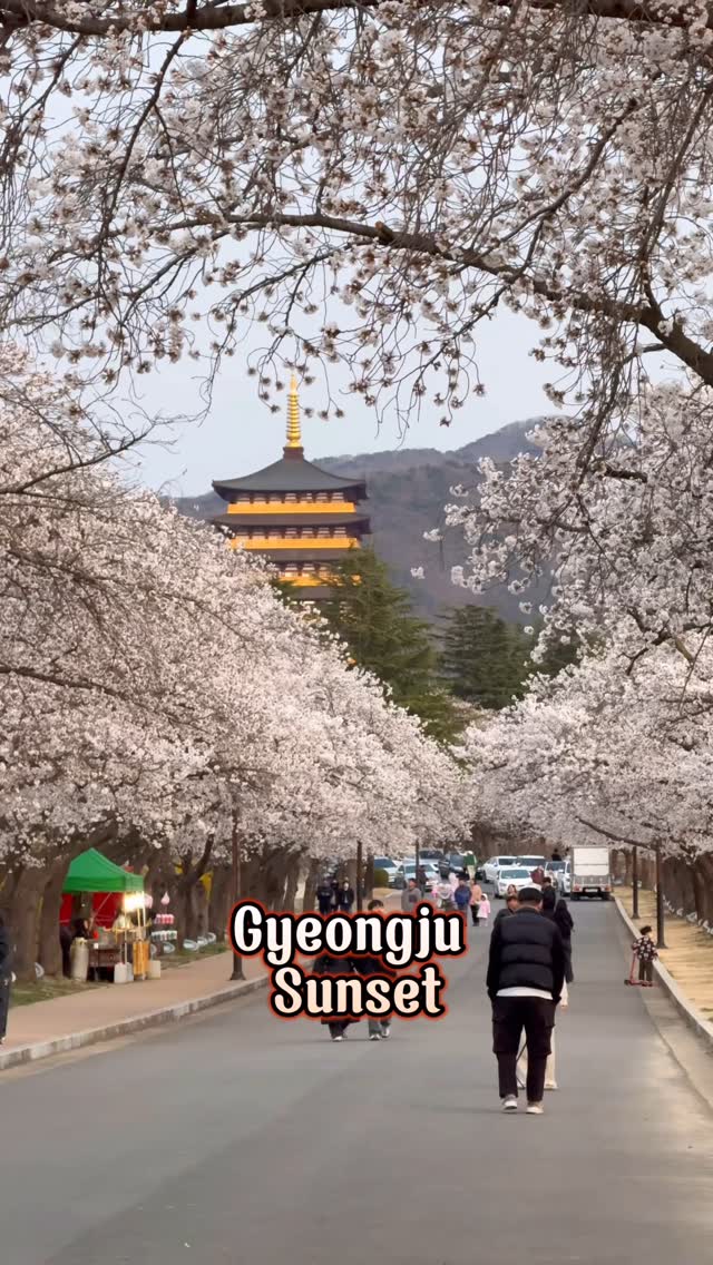 https://d2zmqyh8caa94h.cloudfront.net/creator_social_media_contents/instagram/reels/DIRQ1WaT27K/DIRQ1WaT27K.mp4