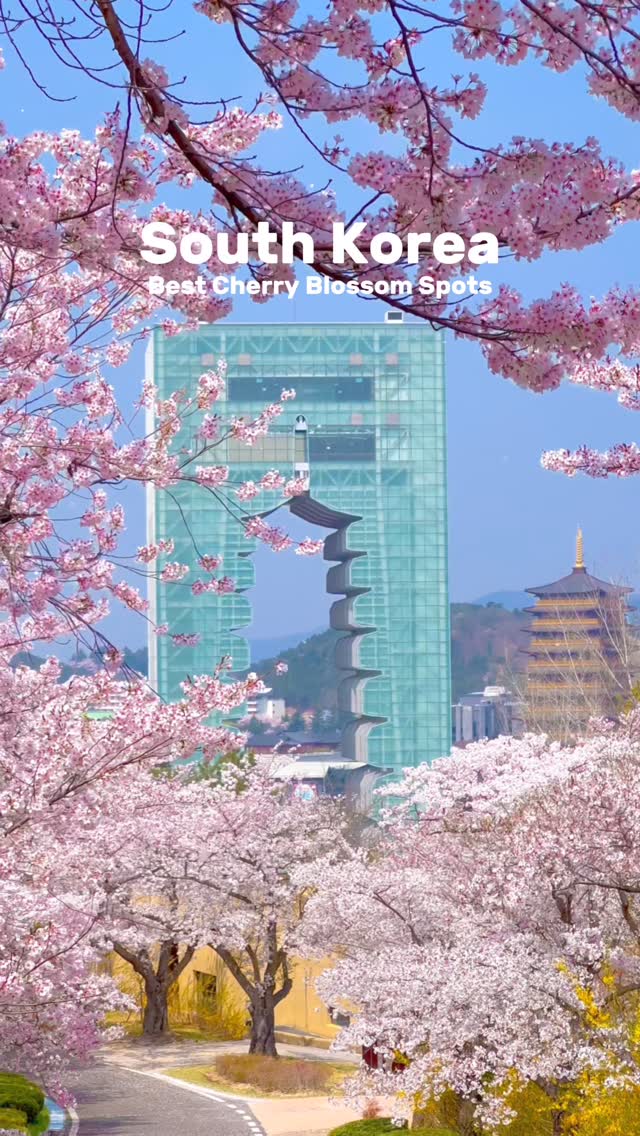 https://d2zmqyh8caa94h.cloudfront.net/creator_social_media_contents/instagram/reels/DITtInrpGnl/DITtInrpGnl.mp4