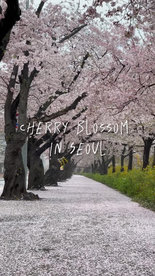 https://d2zmqyh8caa94h.cloudfront.net/creator_social_media_contents/instagram/reels/DIU83IwTV66/DIU83IwTV66.mp4