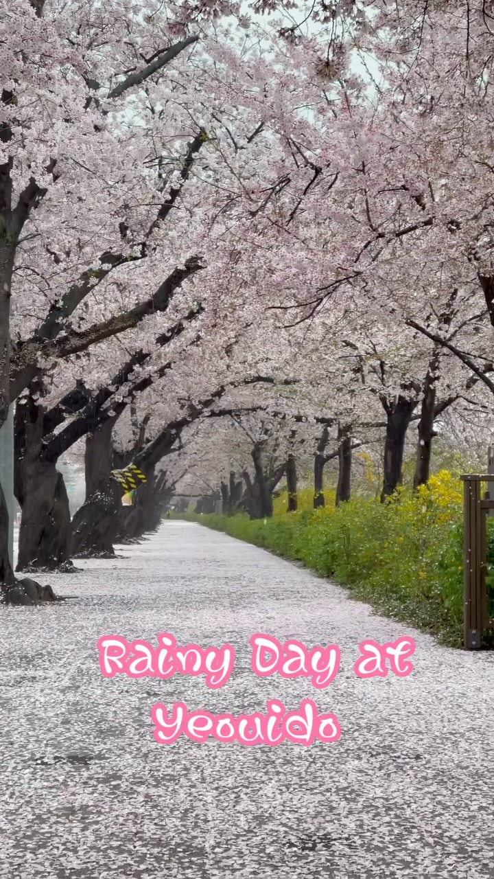 https://d2zmqyh8caa94h.cloudfront.net/creator_social_media_contents/instagram/reels/DIY-jMszOIM/DIY-jMszOIM.mp4