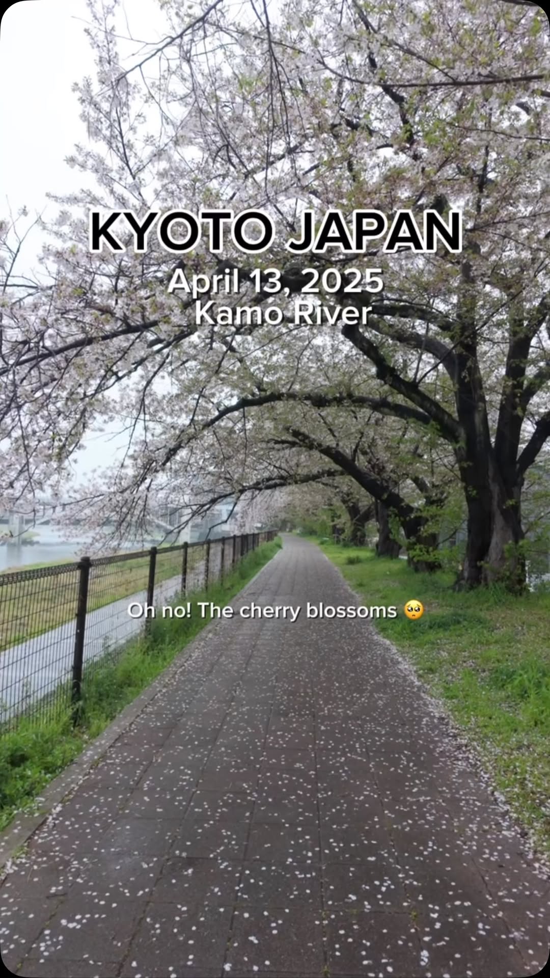 https://d2zmqyh8caa94h.cloudfront.net/creator_social_media_contents/instagram/reels/DIYXErGSqjH/DIYXErGSqjH.mp4
