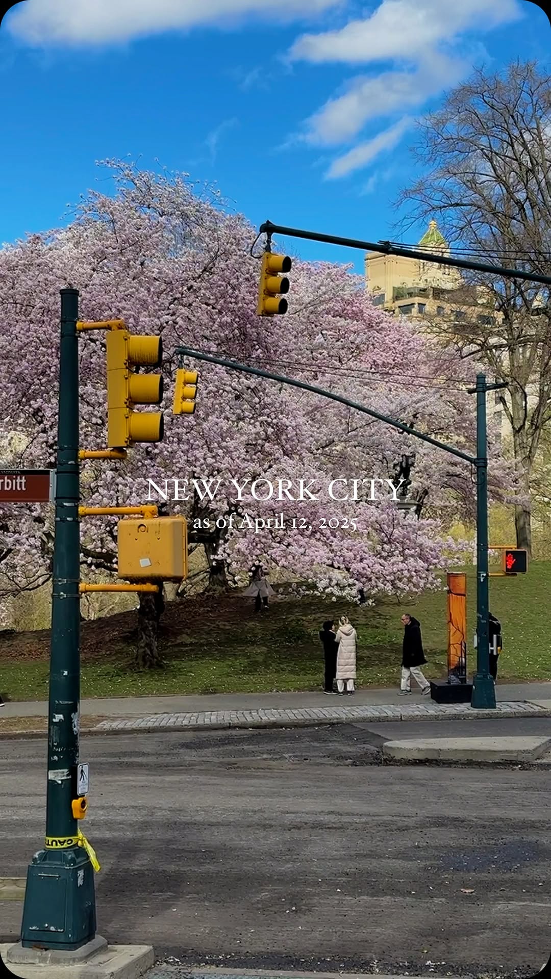 https://d2zmqyh8caa94h.cloudfront.net/creator_social_media_contents/instagram/reels/DIc3nEYoKmo/DIc3nEYoKmo.mp4