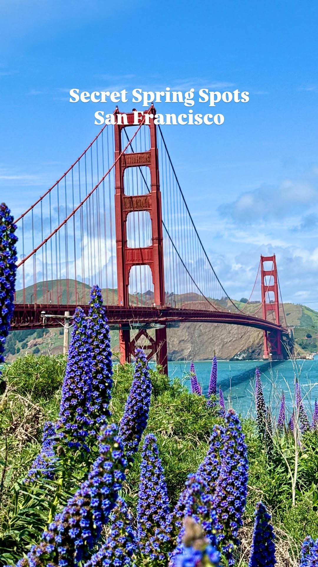 https://d2zmqyh8caa94h.cloudfront.net/creator_social_media_contents/instagram/reels/DIfX87lRhKQ/DIfX87lRhKQ.mp4