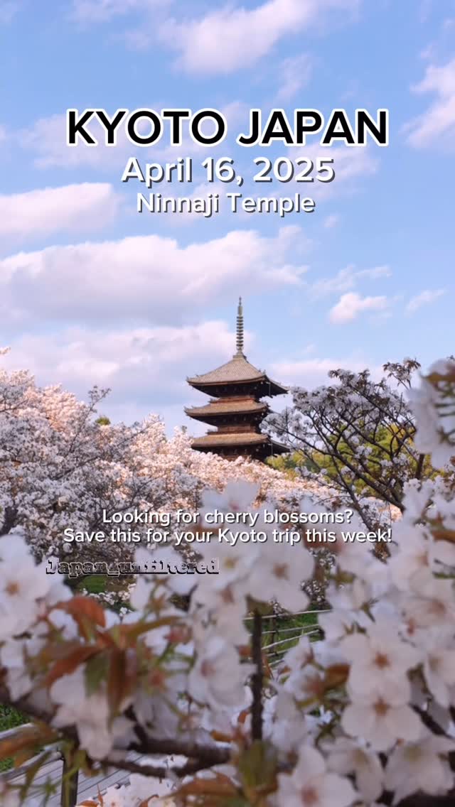 https://d2zmqyh8caa94h.cloudfront.net/creator_social_media_contents/instagram/reels/DIgOjMoyhwB/DIgOjMoyhwB.mp4