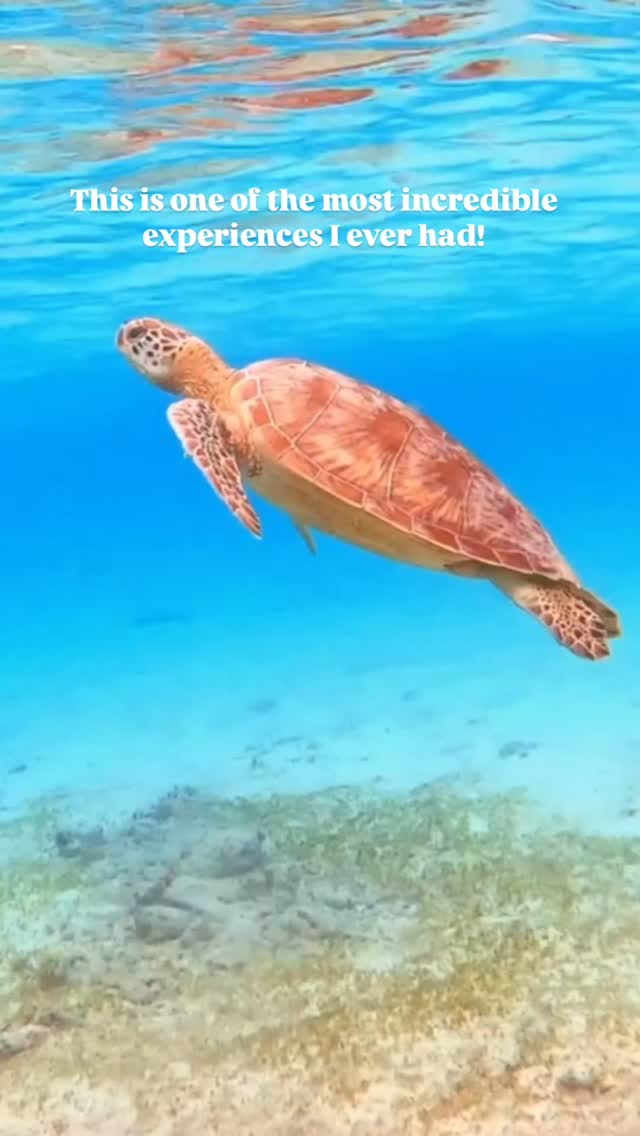 https://d2zmqyh8caa94h.cloudfront.net/creator_social_media_contents/instagram/reels/DIle7zzoWdA/DIle7zzoWdA.mp4