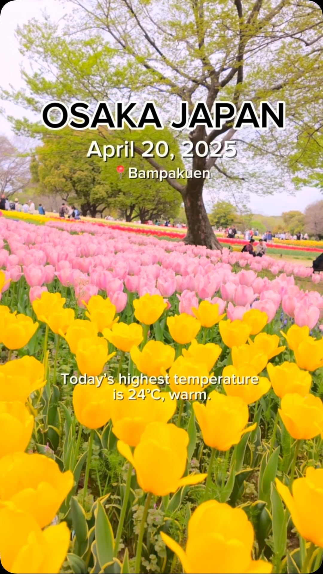 https://d2zmqyh8caa94h.cloudfront.net/creator_social_media_contents/instagram/reels/DIqYwcZSREb/DIqYwcZSREb.mp4