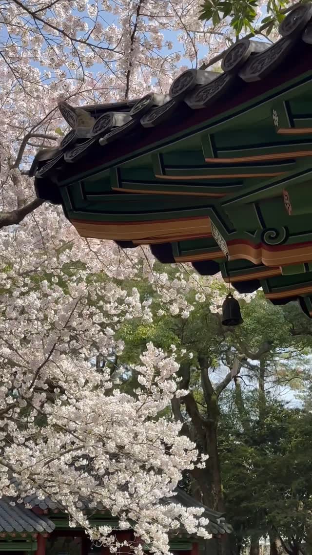 https://d2zmqyh8caa94h.cloudfront.net/creator_social_media_contents/instagram/reels/DIqZY0Szy0M/DIqZY0Szy0M.mp4