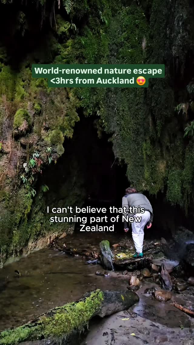 https://d2zmqyh8caa94h.cloudfront.net/creator_social_media_contents/instagram/reels/DIxB1nGznGA/DIxB1nGznGA.mp4