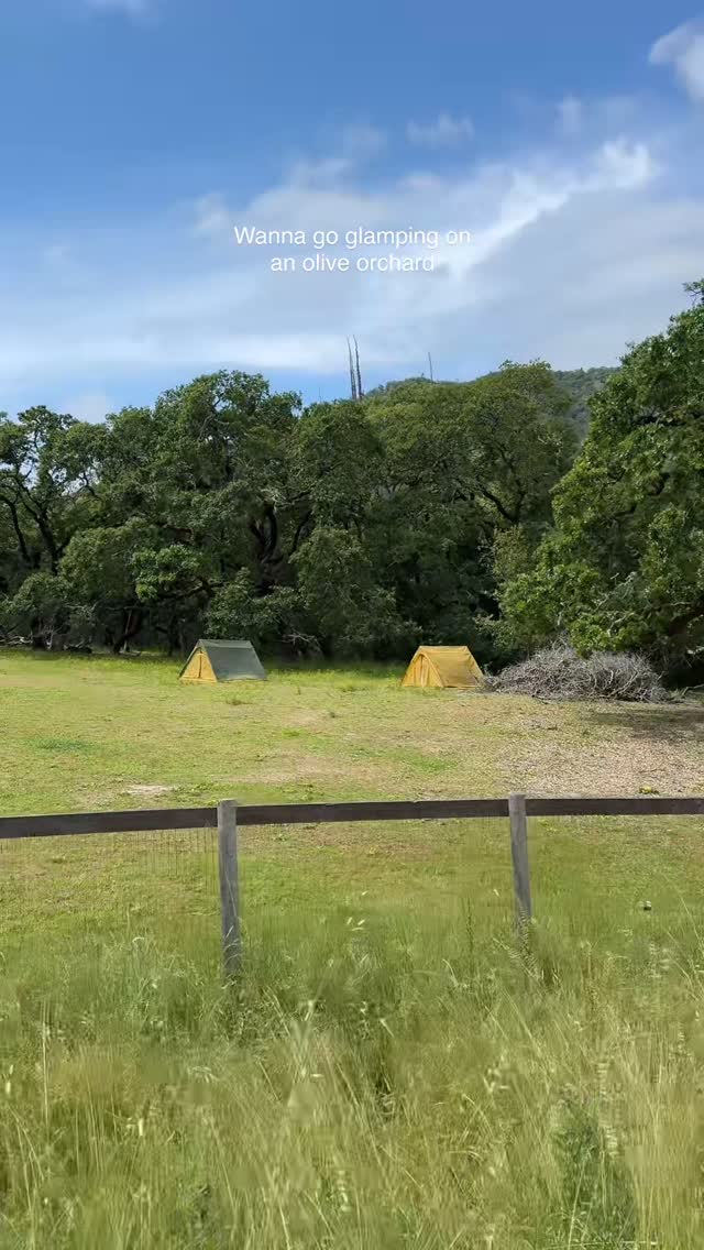 https://d2zmqyh8caa94h.cloudfront.net/creator_social_media_contents/instagram/reels/DJZbKF7pWs9/DJZbKF7pWs9.mp4