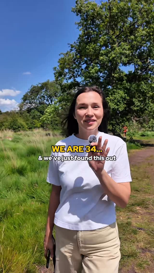 https://d2zmqyh8caa94h.cloudfront.net/creator_social_media_contents/instagram/reels/DK-VhSCIAv2/DK-VhSCIAv2.mp4