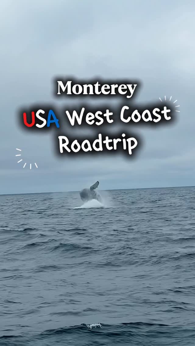 https://d2zmqyh8caa94h.cloudfront.net/creator_social_media_contents/instagram/reels/DKyFgQ6PoxX/DKyFgQ6PoxX.mp4