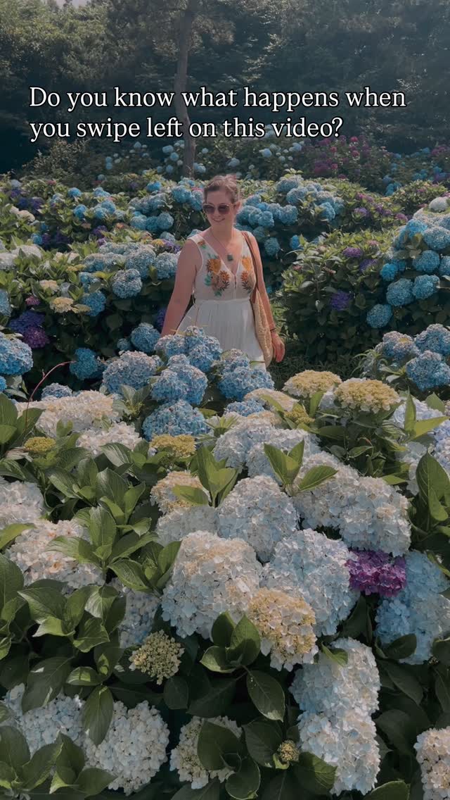 https://d2zmqyh8caa94h.cloudfront.net/creator_social_media_contents/instagram/reels/DLcQZHfyVWw/DLcQZHfyVWw.mp4