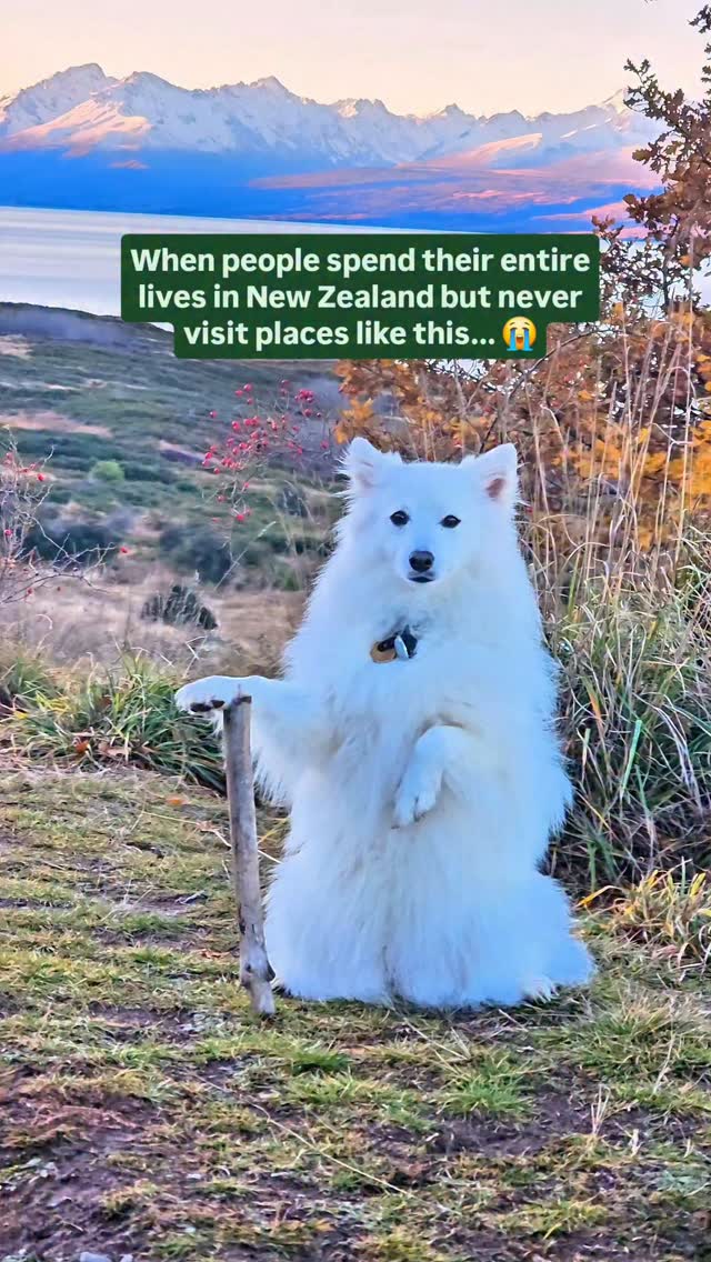https://d2zmqyh8caa94h.cloudfront.net/creator_social_media_contents/instagram/reels/DLekZBzPM0_/DLekZBzPM0_.mp4