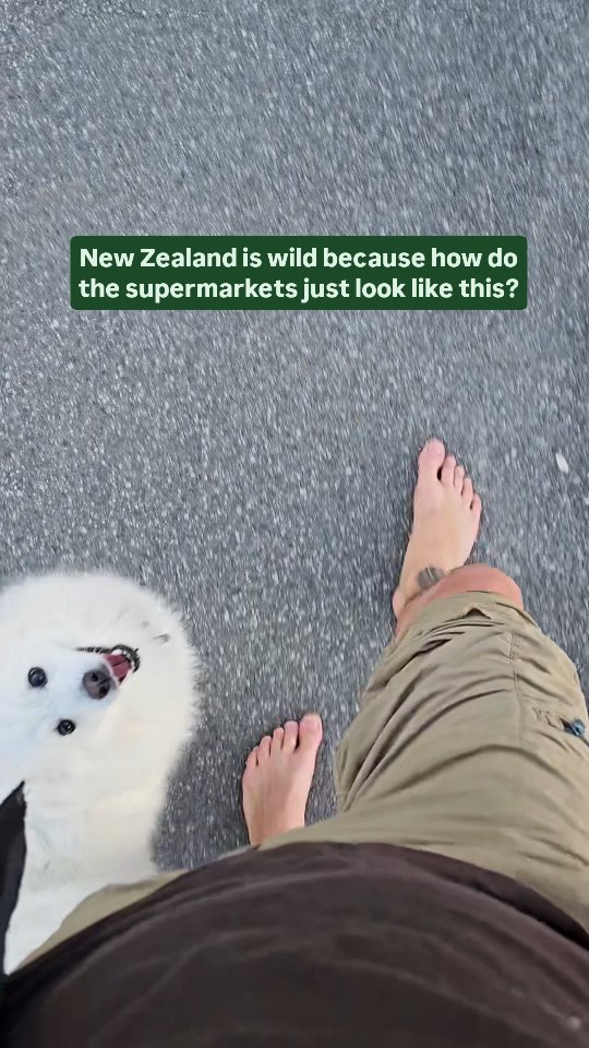 https://d2zmqyh8caa94h.cloudfront.net/creator_social_media_contents/instagram/reels/DLlY3nczxkx/DLlY3nczxkx.mp4