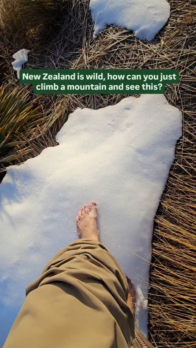 https://d2zmqyh8caa94h.cloudfront.net/creator_social_media_contents/instagram/reels/DLyWwrKz6w6/DLyWwrKz6w6.mp4