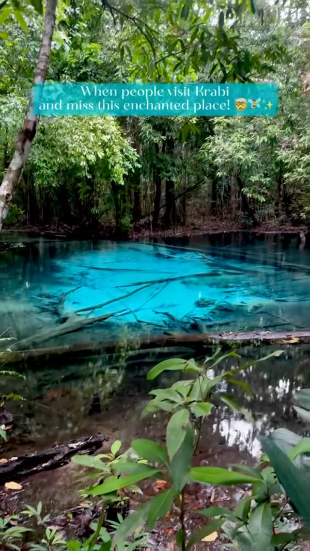 https://d2zmqyh8caa94h.cloudfront.net/creator_social_media_contents/instagram/reels/DLz0GQBocVY/DLz0GQBocVY.mp4