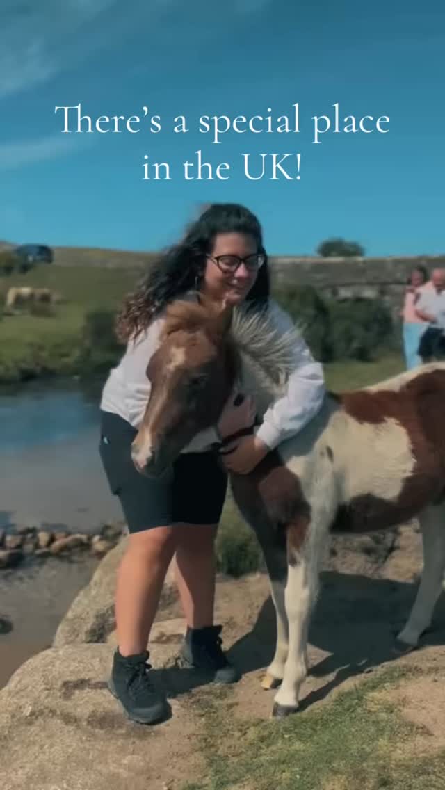 https://d2zmqyh8caa94h.cloudfront.net/creator_social_media_contents/instagram/reels/DLzyPxBoqQ0/DLzyPxBoqQ0.mp4
