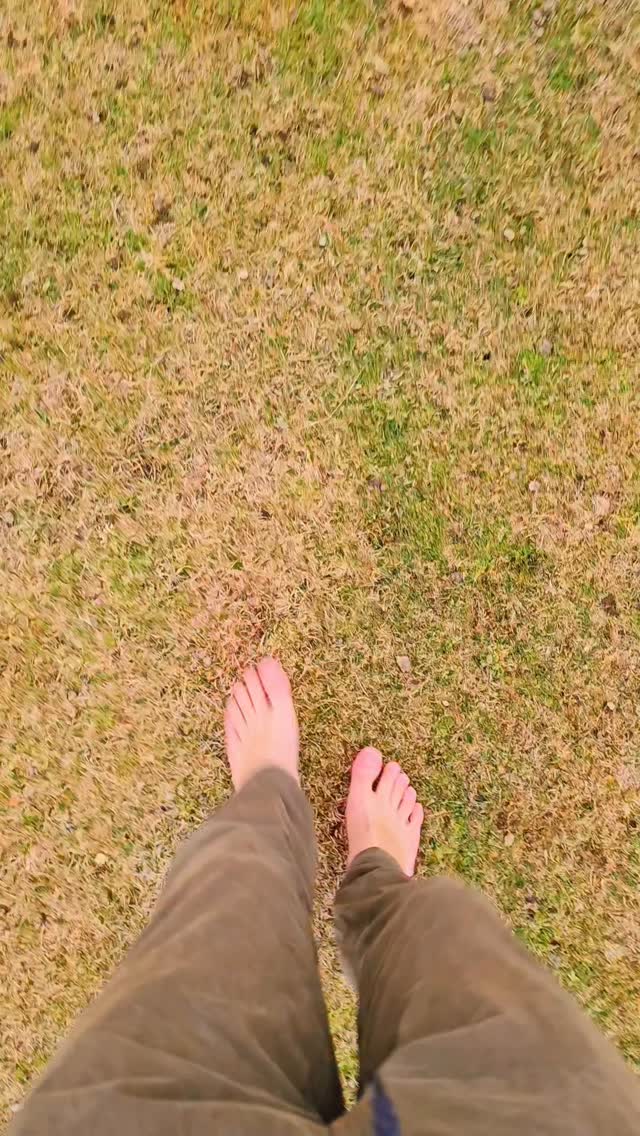 https://d2zmqyh8caa94h.cloudfront.net/creator_social_media_contents/instagram/reels/DMBrZW3zSbI/DMBrZW3zSbI.mp4