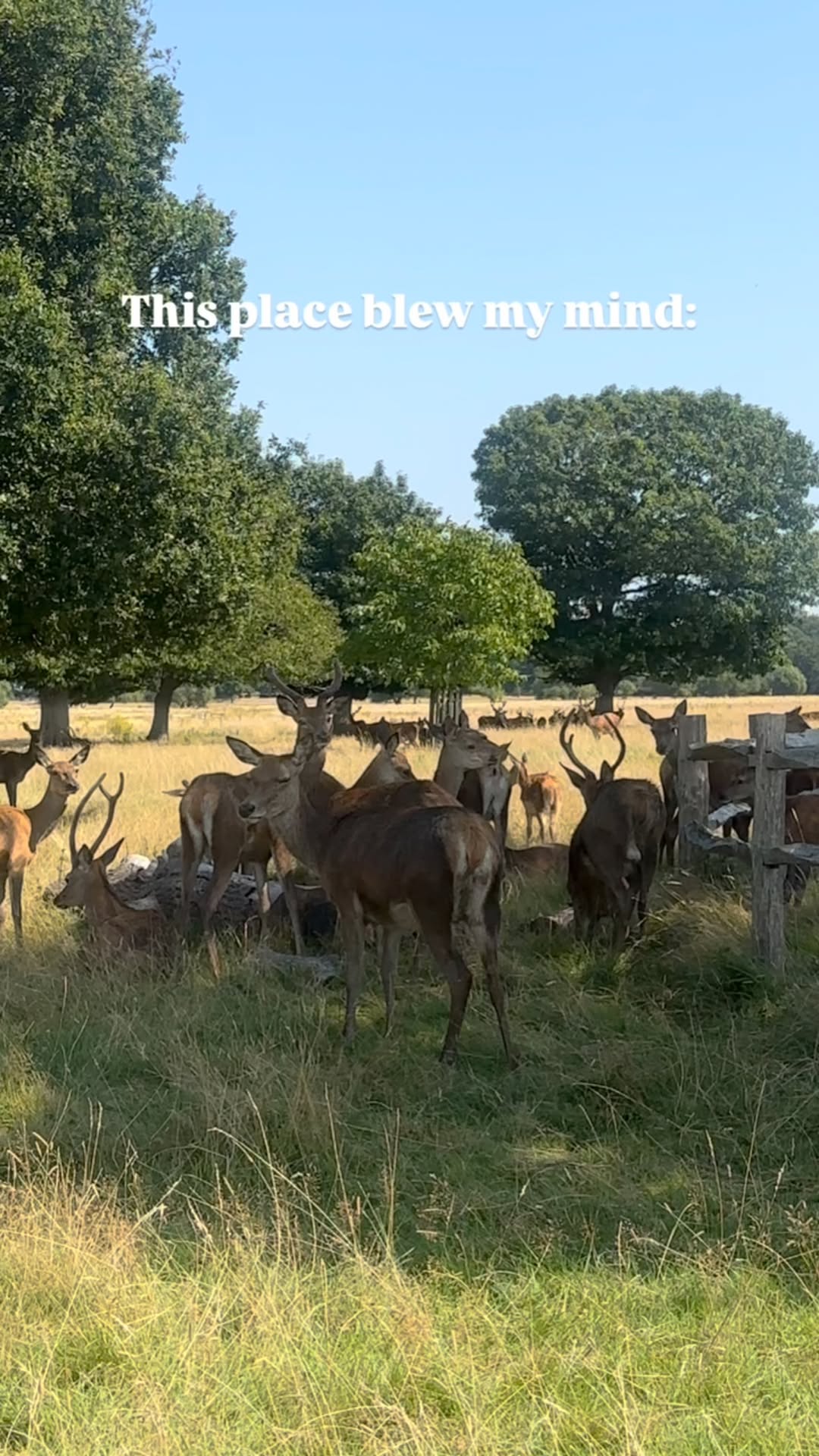 https://d2zmqyh8caa94h.cloudfront.net/creator_social_media_contents/instagram/reels/DMLgVnso_fA/DMLgVnso_fA.mp4