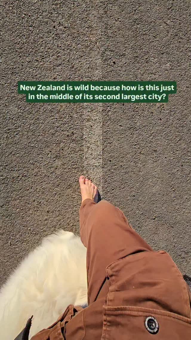 https://d2zmqyh8caa94h.cloudfront.net/creator_social_media_contents/instagram/reels/DMW0gXOKgtr/DMW0gXOKgtr.mp4
