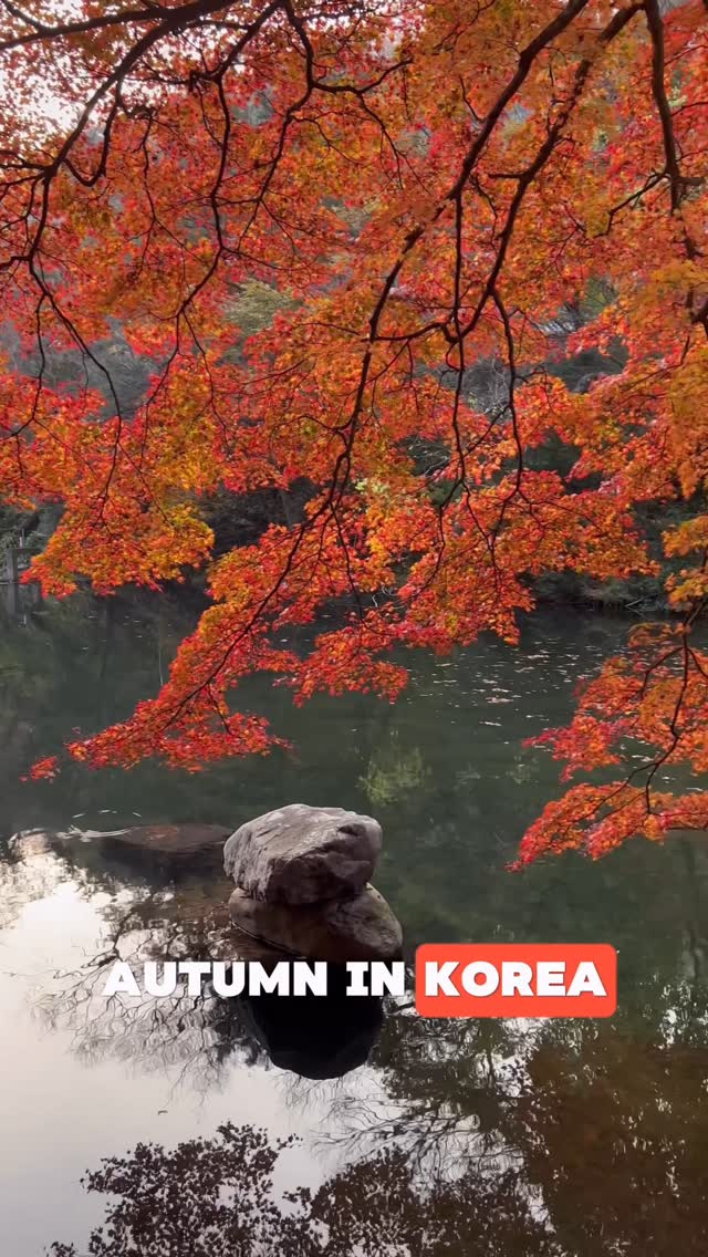 https://d2zmqyh8caa94h.cloudfront.net/creator_social_media_contents/instagram/reels/DN0r-bXUCOb/DN0r-bXUCOb.mp4