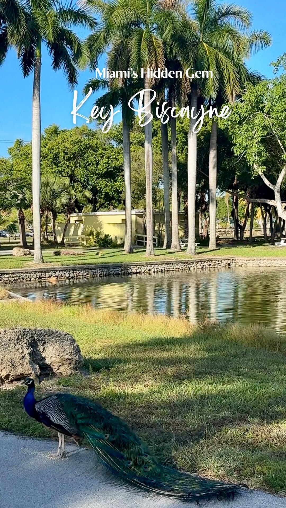 https://d2zmqyh8caa94h.cloudfront.net/creator_social_media_contents/instagram/reels/DNCNnDsx9m3/DNCNnDsx9m3.mp4