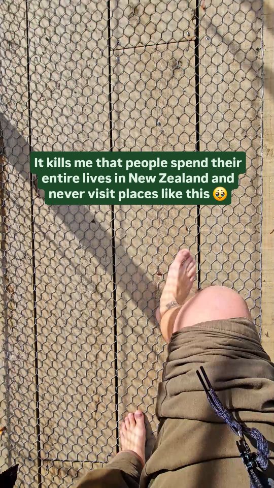 https://d2zmqyh8caa94h.cloudfront.net/creator_social_media_contents/instagram/reels/DNIZx6RvW5d/DNIZx6RvW5d.mp4