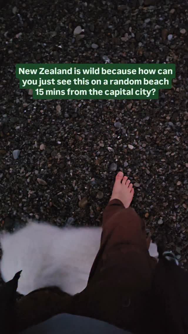 https://d2zmqyh8caa94h.cloudfront.net/creator_social_media_contents/instagram/reels/DNXq-_nvxaM/DNXq-_nvxaM.mp4