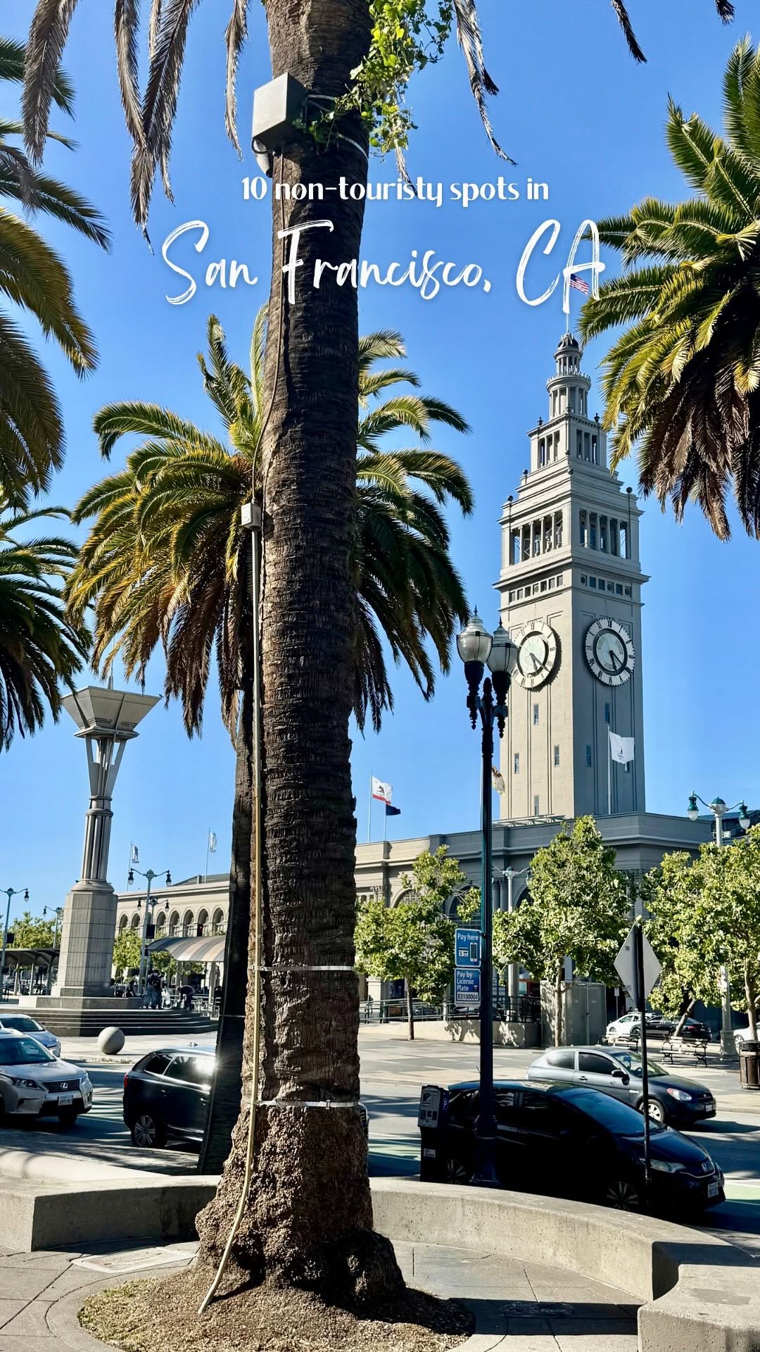 https://d2zmqyh8caa94h.cloudfront.net/creator_social_media_contents/instagram/reels/DNzDtKW2Cpf/DNzDtKW2Cpf.mp4