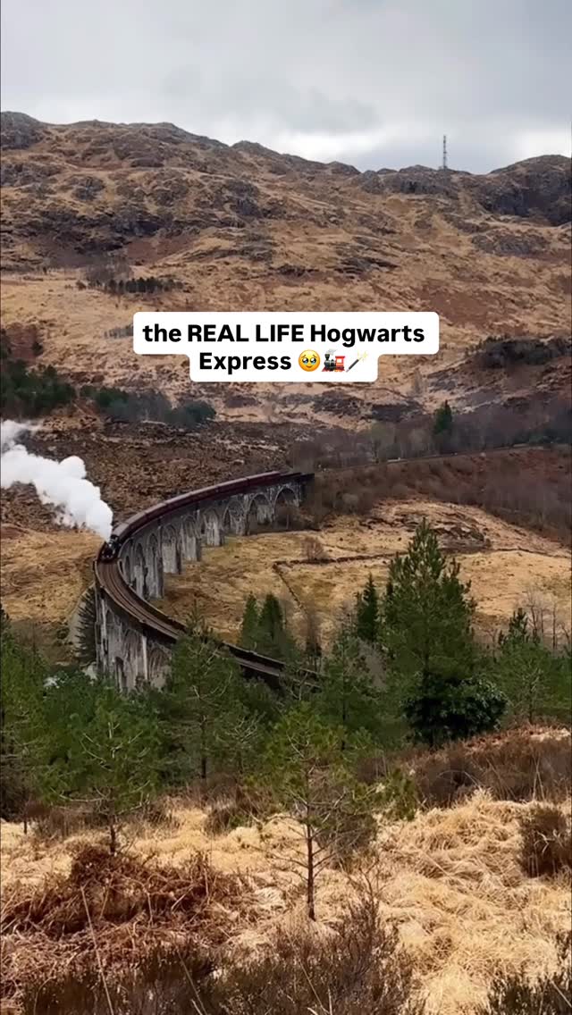 https://d2zmqyh8caa94h.cloudfront.net/creator_social_media_contents/instagram/reels/DO1hXzukvLR/DO1hXzukvLR.mp4