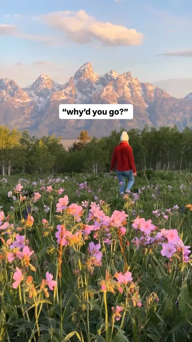 https://d2zmqyh8caa94h.cloudfront.net/creator_social_media_contents/instagram/reels/DOh2aNFDgFo/DOh2aNFDgFo.mp4