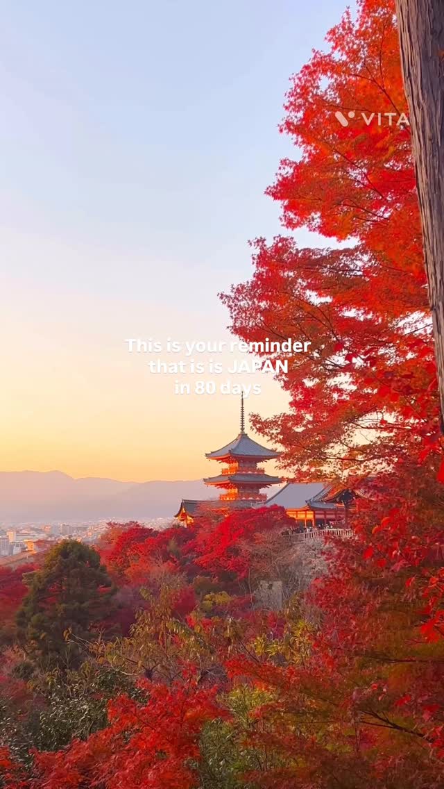 https://d2zmqyh8caa94h.cloudfront.net/creator_social_media_contents/instagram/reels/DOhsLJSif4F/DOhsLJSif4F.mp4