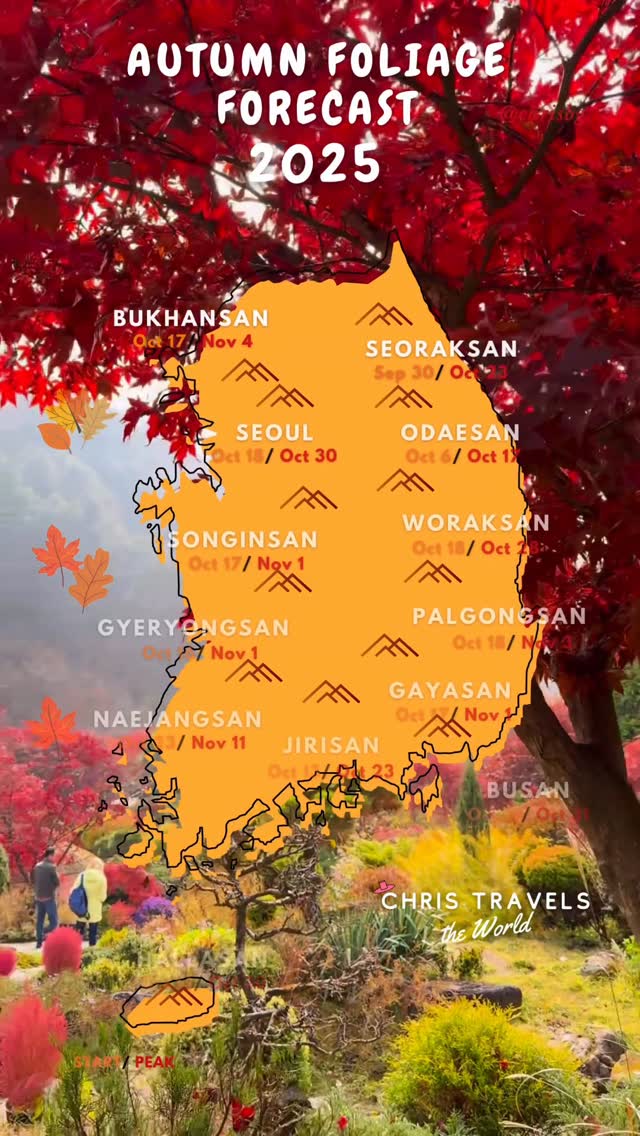 https://d2zmqyh8caa94h.cloudfront.net/creator_social_media_contents/instagram/reels/DP39BANkQLX/DP39BANkQLX.mp4