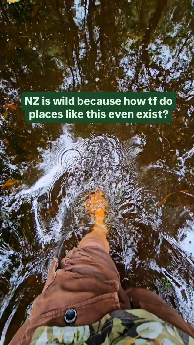 https://d2zmqyh8caa94h.cloudfront.net/creator_social_media_contents/instagram/reels/DP_B-_Vj_Nw/DP_B-_Vj_Nw.mp4