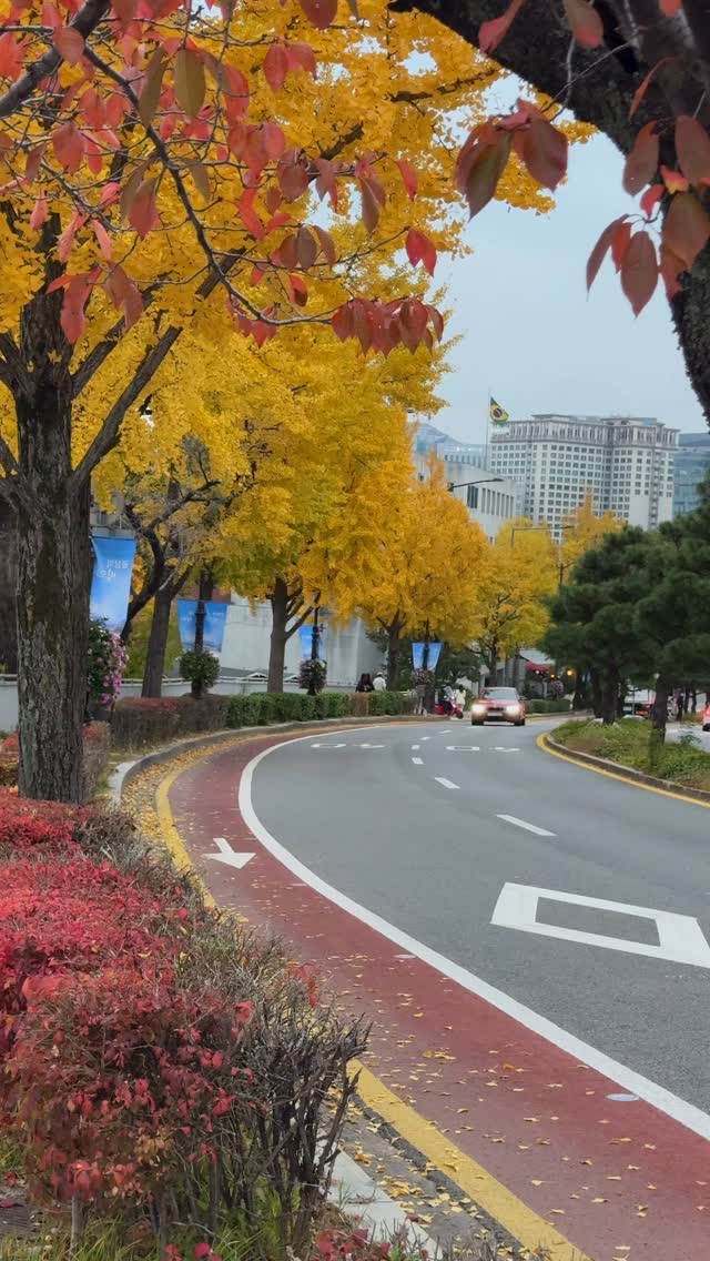 https://d2zmqyh8caa94h.cloudfront.net/creator_social_media_contents/instagram/reels/DQ1qQLkkcZ8/DQ1qQLkkcZ8.mp4