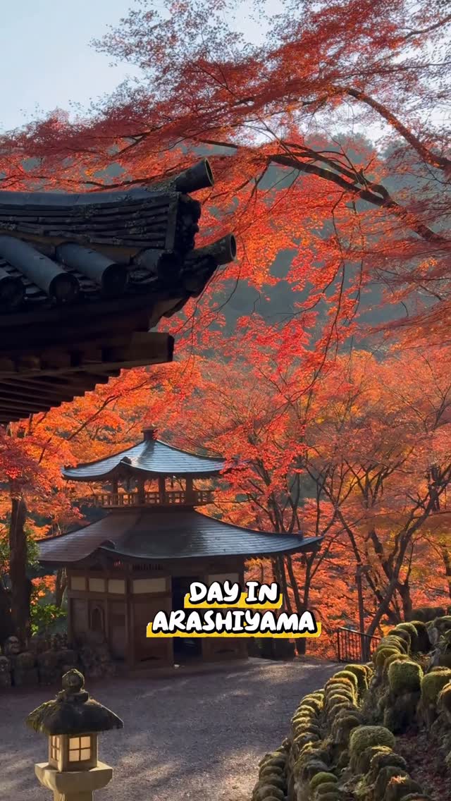 https://d2zmqyh8caa94h.cloudfront.net/creator_social_media_contents/instagram/reels/DQB9_mvEf8o/DQB9_mvEf8o.mp4