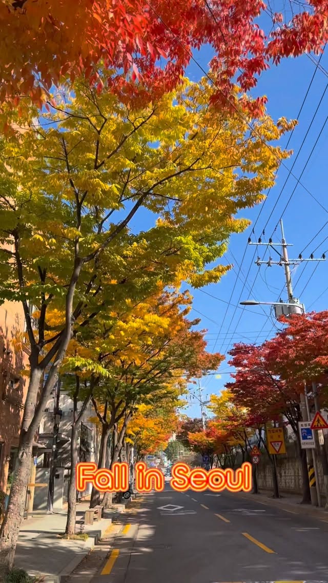 https://d2zmqyh8caa94h.cloudfront.net/creator_social_media_contents/instagram/reels/DQHdw-UE5rM/DQHdw-UE5rM.mp4