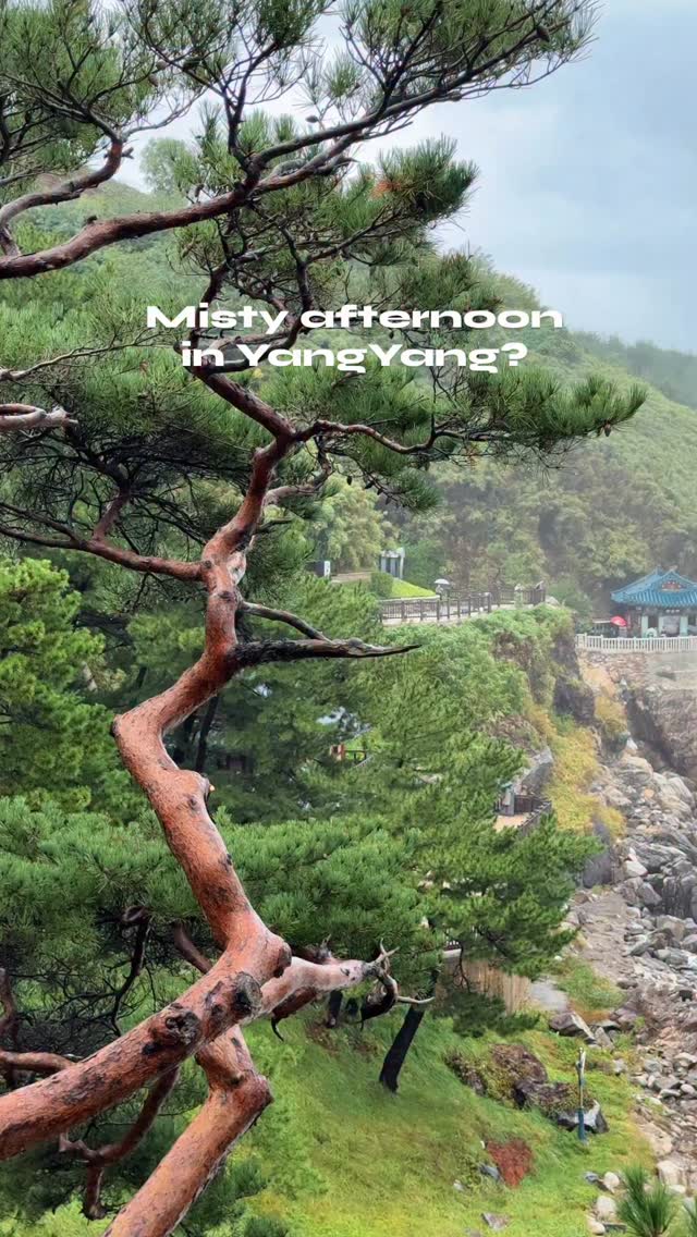 https://d2zmqyh8caa94h.cloudfront.net/creator_social_media_contents/instagram/reels/DQMn8RhE_OP/DQMn8RhE_OP.mp4