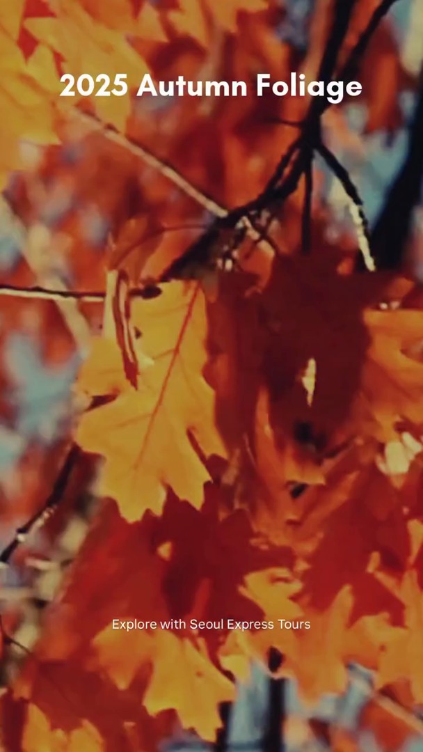 Seoul's Best Autumn Foliage Viewing Spots