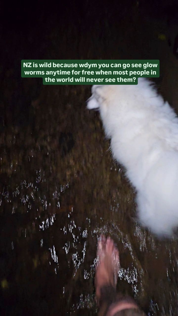 https://d2zmqyh8caa94h.cloudfront.net/creator_social_media_contents/instagram/reels/DQS1wA4j08T/DQS1wA4j08T.mp4