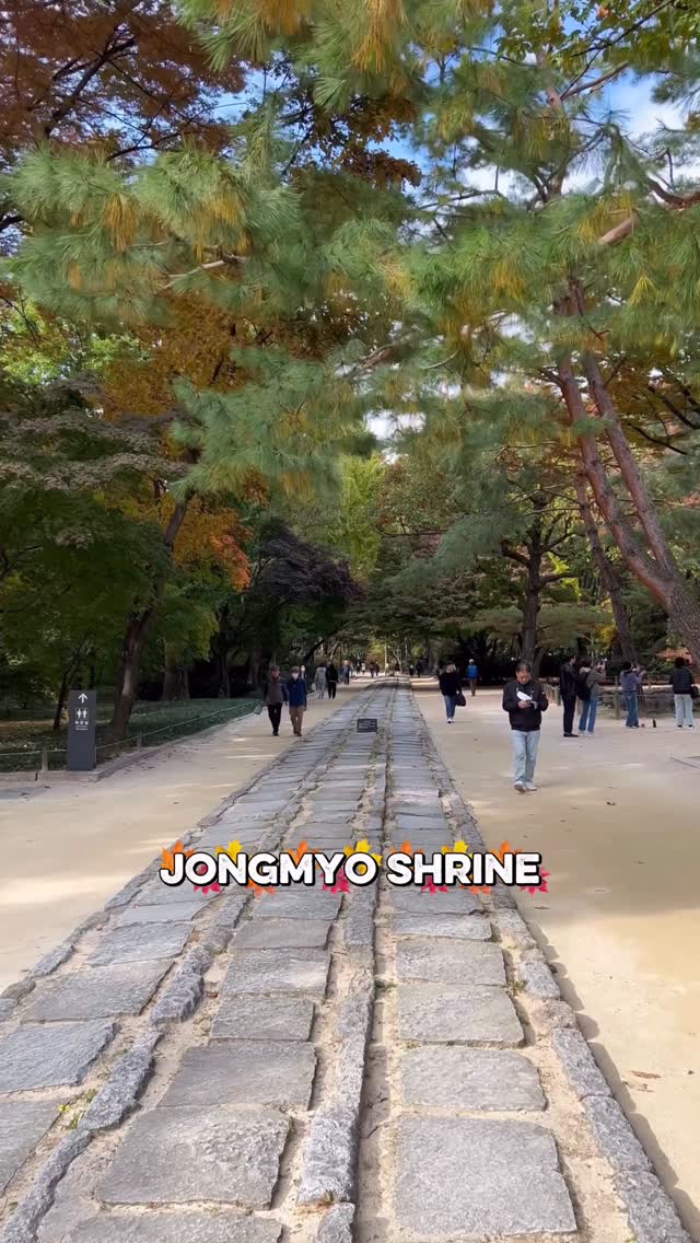 https://d2zmqyh8caa94h.cloudfront.net/creator_social_media_contents/instagram/reels/DQ_ada3kV4W/DQ_ada3kV4W.mp4
