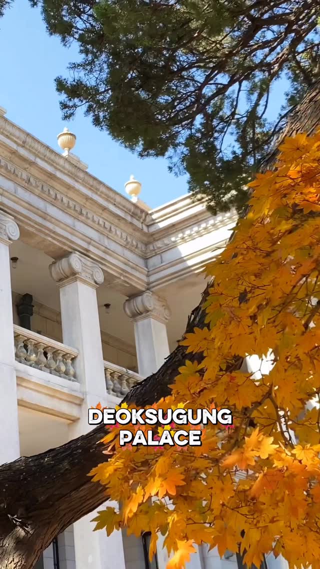 https://d2zmqyh8caa94h.cloudfront.net/creator_social_media_contents/instagram/reels/DQ_wztpEeqE/DQ_wztpEeqE.mp4