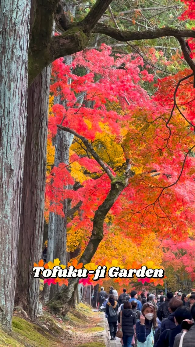 https://d2zmqyh8caa94h.cloudfront.net/creator_social_media_contents/instagram/reels/DQbCL3jEYXP/DQbCL3jEYXP.mp4