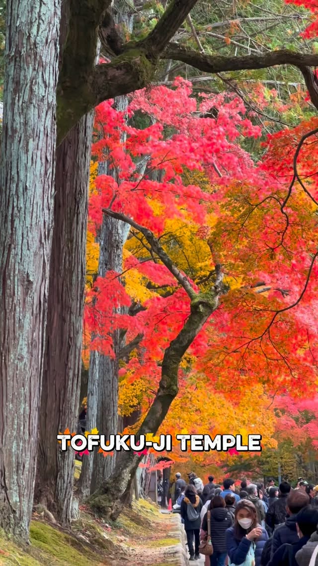 https://d2zmqyh8caa94h.cloudfront.net/creator_social_media_contents/instagram/reels/DQbDn88EXoj/DQbDn88EXoj.mp4