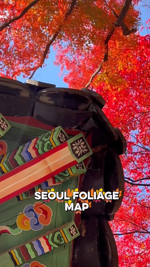 https://d2zmqyh8caa94h.cloudfront.net/creator_social_media_contents/instagram/reels/DQjgixxkZyB/DQjgixxkZyB.mp4