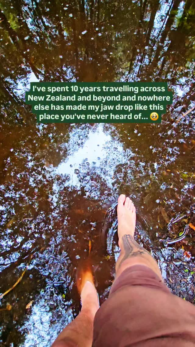 https://d2zmqyh8caa94h.cloudfront.net/creator_social_media_contents/instagram/reels/DQlj1F1D2Ou/DQlj1F1D2Ou.mp4