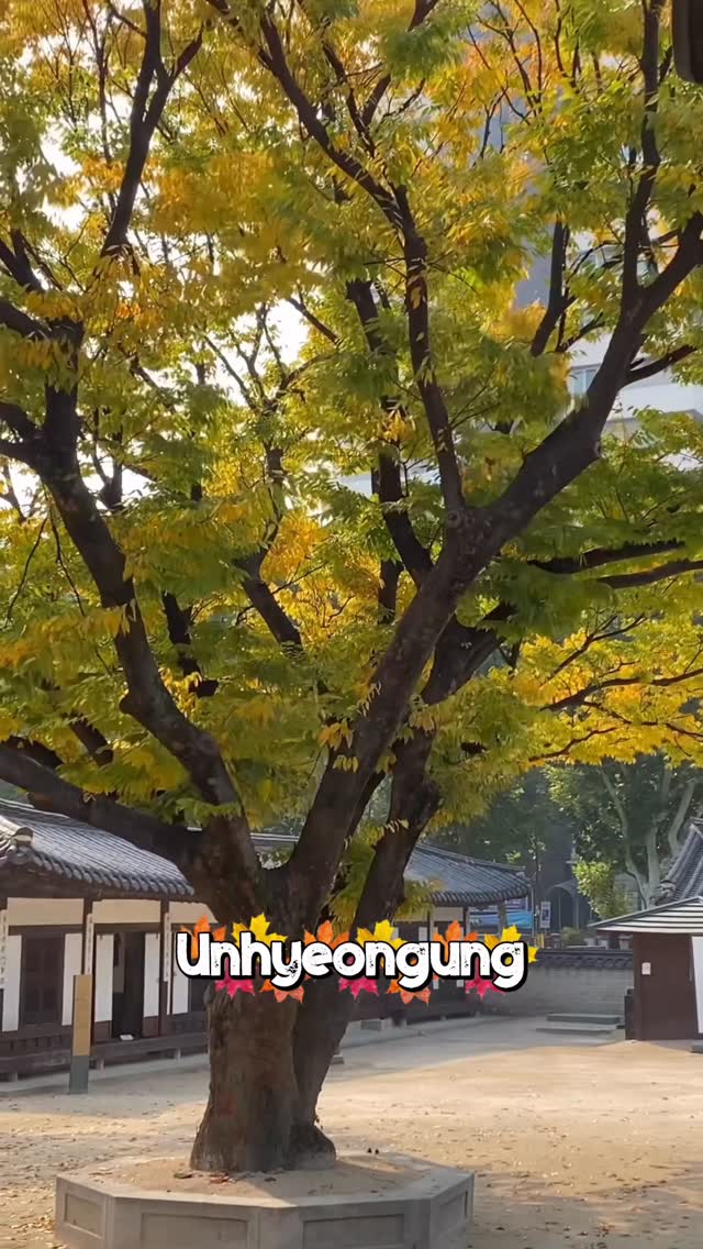 https://d2zmqyh8caa94h.cloudfront.net/creator_social_media_contents/instagram/reels/DQoWYyCEc7v/DQoWYyCEc7v.mp4
